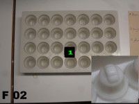 /album/a1-ou-2-plaques-de-disponible/f-02-jpg/